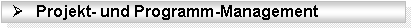Wir übernehmen die komplette Projektsteuerung für einzelne Projekte oder für komplexe Projektlandschaften im Rahmen eines Programm-Managements.